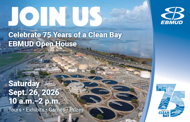 Clean Bay 75 Years
